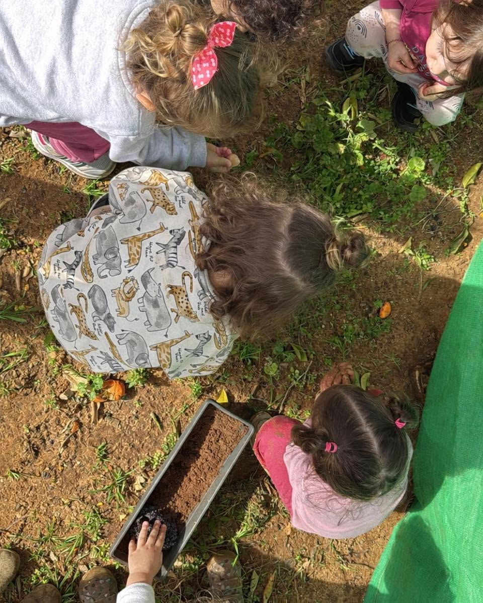 ילדים שותלים יחד באדנית אדמה בחצר